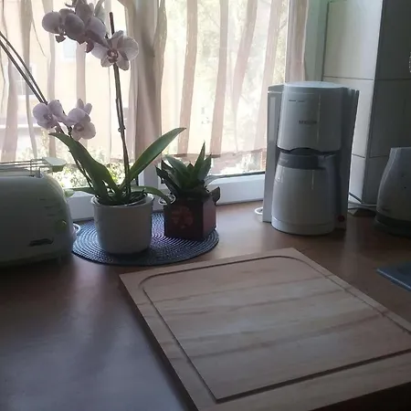 Apartment Kleine Gemütliche In Erfurt